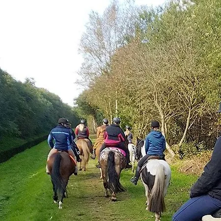 Im Fehnland 25197 Bunde (Lower Saxony)